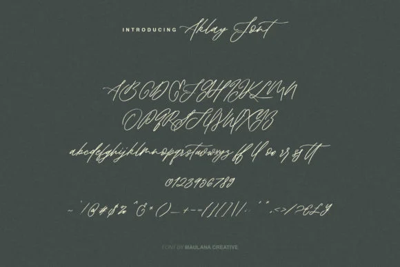 Aklay Font by Maulana Creative — Script Handwritten Font — thumbnail 8