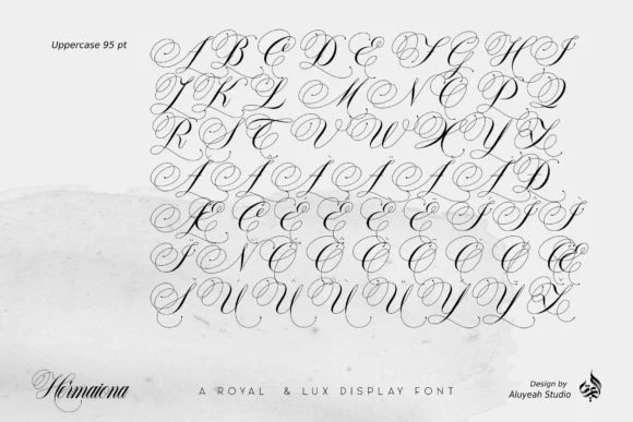 AL Hermaiona Font by Aluyeah Studio — Script Handwritten Font — thumbnail 9