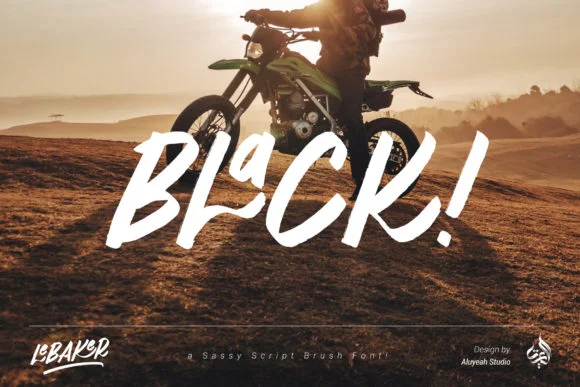 AL LeBaker Font by Aluyeah Studio — Script Handwritten Font — thumbnail 3