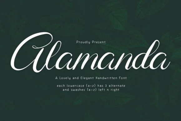 Alamanda Font by Creassion Studio by Creassion Studio — Script Handwritten Font