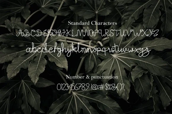 Alefa Font by syakaltype — Script Handwritten Font — thumbnail 7