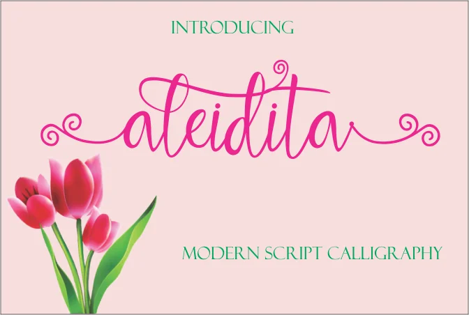 Aleidita Font by Jaime Rangel Castro — Script Handwritten Font