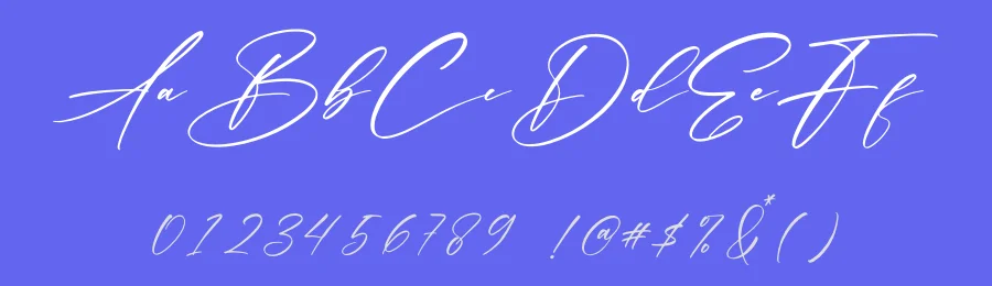 Alexander by Letterena Studios — Script Handwritten Font — thumbnail 3