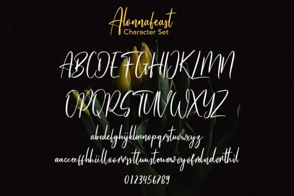Alonnafeast Font by Maulana Creative — Script Handwritten Font — thumbnail 9