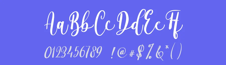 Alyssa Calligraphy by Colllab Studio — Script Handwritten Font — thumbnail 3