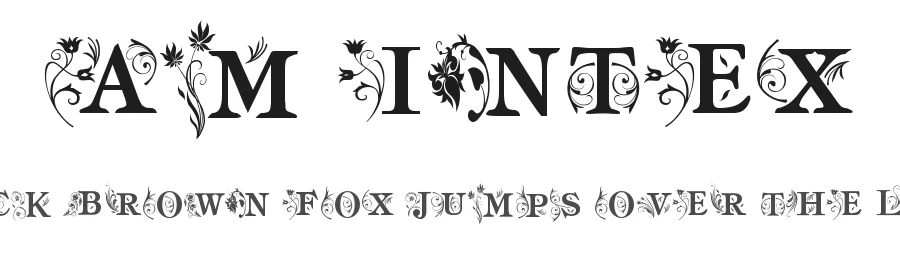 AM Intex by A. M. — Decorative Font