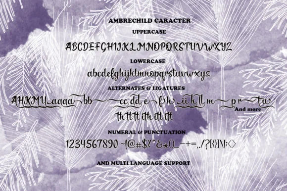 Ambrechild Script Font by akifatype — Script Handwritten Font — thumbnail 8