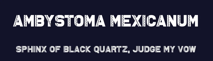 Ambystoma Mexicanum by Chequered Ink — Decorative Font — thumbnail 2