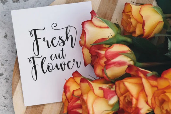 Amelia Kanny Font by Stellar Studio — Script Handwritten Font — thumbnail 4