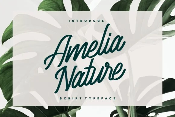 Amelia Nature Font by Fype Co. — Script Handwritten Font