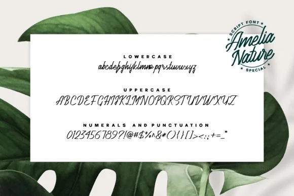 Amelia Nature Font by Fype Co. — Script Handwritten Font — thumbnail 6