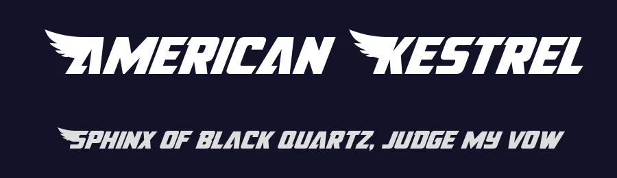 American Kestrel by Iconian Fonts — Display Font — thumbnail 2