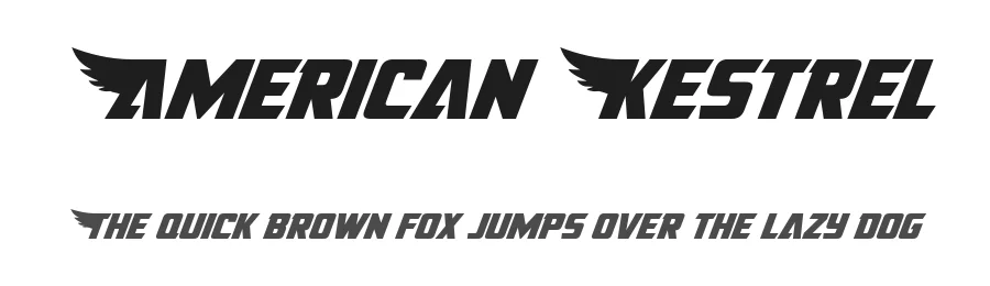 American Kestrel by Iconian Fonts — Display Font