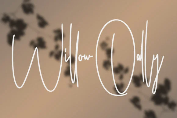 Ameriondela Font by Maulana Creative — Script Handwritten Font — thumbnail 3