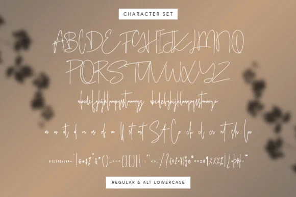 Ameriondela Font by Maulana Creative — Script Handwritten Font — thumbnail 5