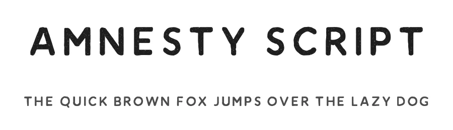Amnesty Script