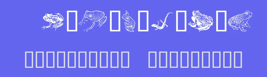 AmphibiPrint by Astigmatic One Eye Typographic Institute — Dingbats Font — thumbnail 3
