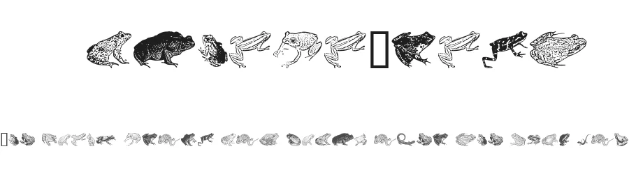 AmphibiPrint by Astigmatic One Eye Typographic Institute — Dingbats Font