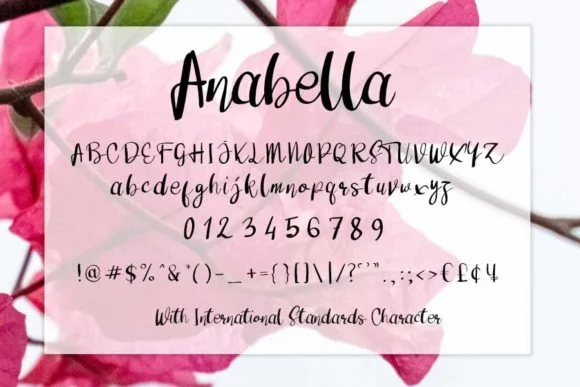 Anabella Font by shiddiq.art — Script Handwritten Font — thumbnail 4