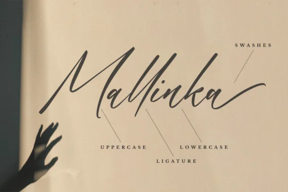 Anastacia Font by Bekeen.co by Bekeen.co — Script Handwritten Font — thumbnail 2