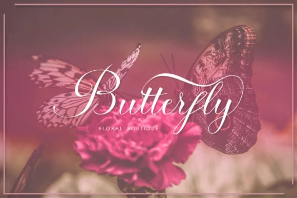 Anaya Font by Anaya Studio — Script Handwritten Font — thumbnail 3