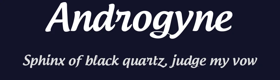 Androgyne by Dimitri Castrique — Script Handwritten Font — thumbnail 2