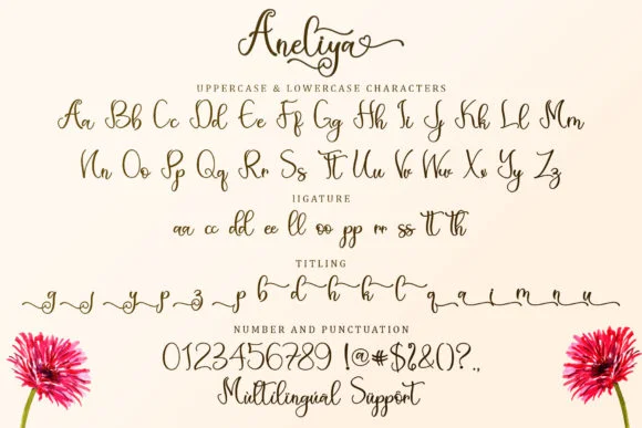 Aneliya Font by Sakha Design — Script Handwritten Font — thumbnail 7