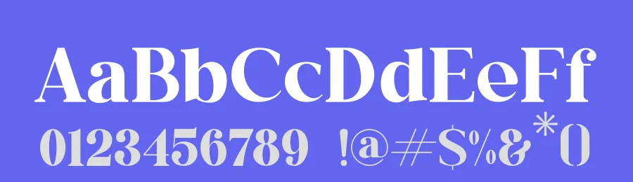 Anilez by Storytype Studio — Serif Font — thumbnail 3