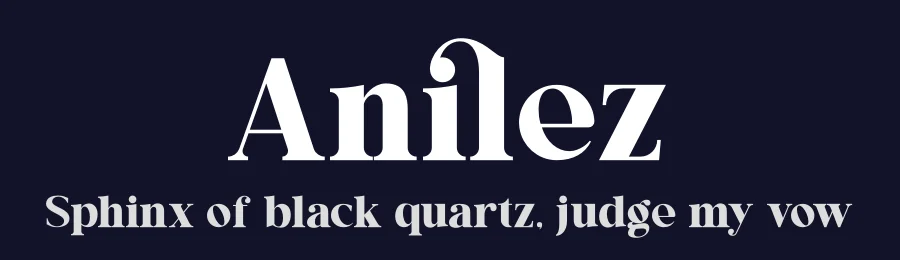 Anilez by Storytype Studio — Serif Font — thumbnail 2