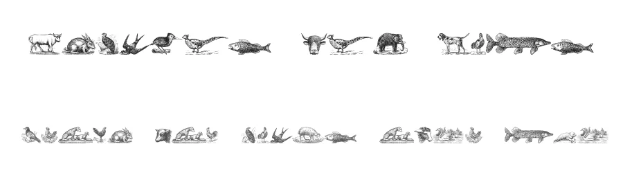 Animals Old Cuts by Intellecta Design — Dingbats Font