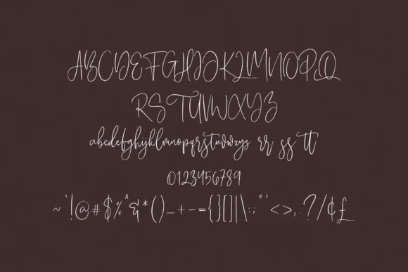 Anistton Font by Maulana Creative — Script Handwritten Font — thumbnail 6