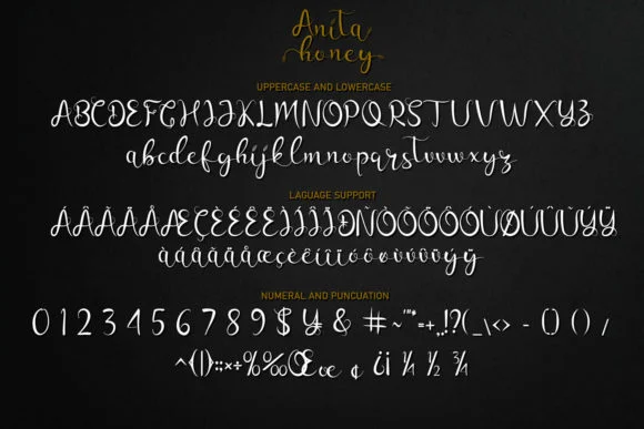 Anita Honey Font by Rezastudio — Script Handwritten Font — thumbnail 8