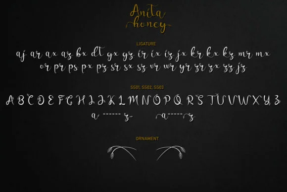 Anita Honey Font by Rezastudio — Script Handwritten Font — thumbnail 9
