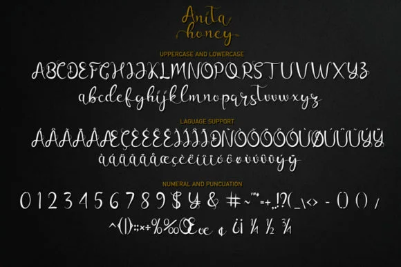 Anita Honey Font by Rezastudio — Script Handwritten Font — thumbnail 8