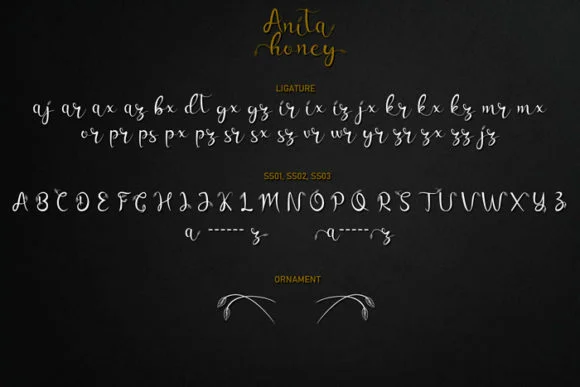Anita Honey Font by Rezastudio — Script Handwritten Font — thumbnail 9