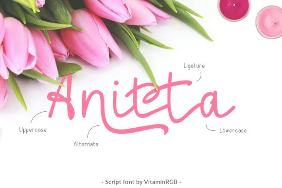 Anitta Script Font by VitaminRGB โ Sans Serif Font