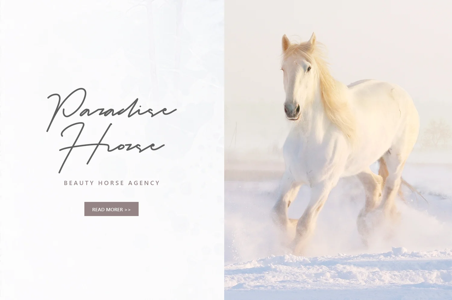 Ankara Font by Graphicfresh — Script Handwritten Font — thumbnail 3
