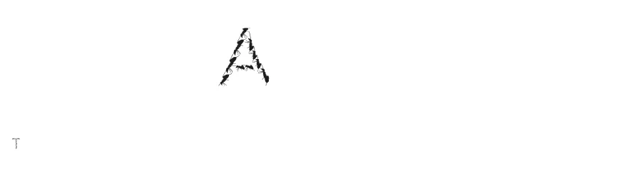 Ant