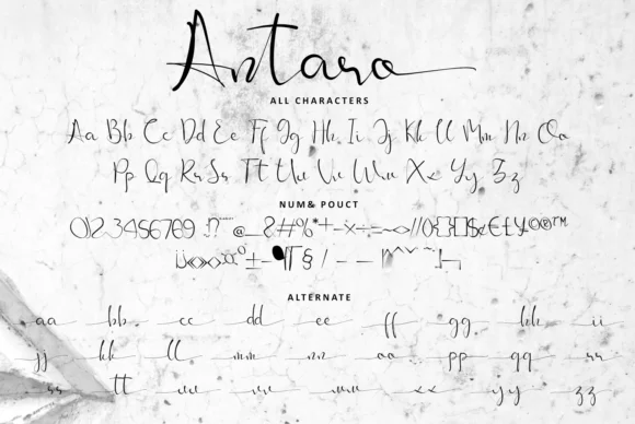 Antaro Font by Muksal Creative — Script Handwritten Font — thumbnail 8