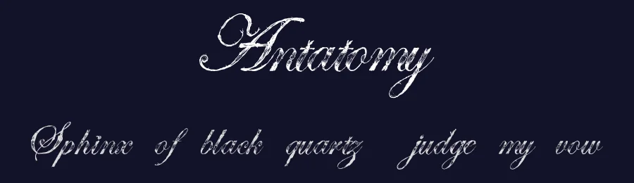 Antatomy by Ella Mobbs — Script Handwritten Font — thumbnail 2