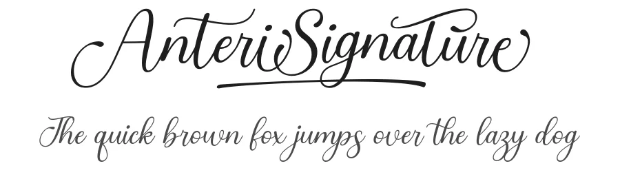 Anteri Signature