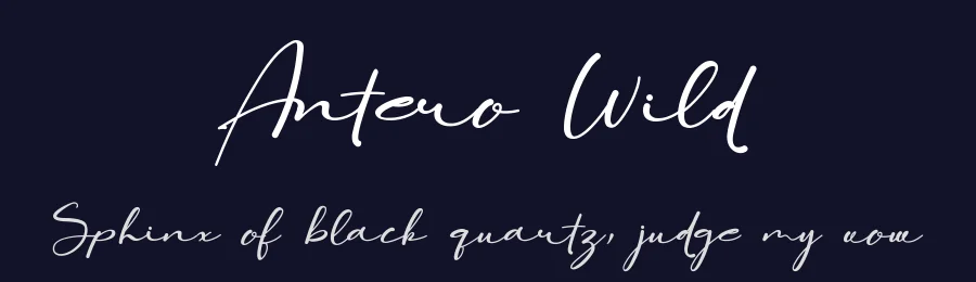 Antero Wild by ToniStudio — Script Handwritten Font — thumbnail 2