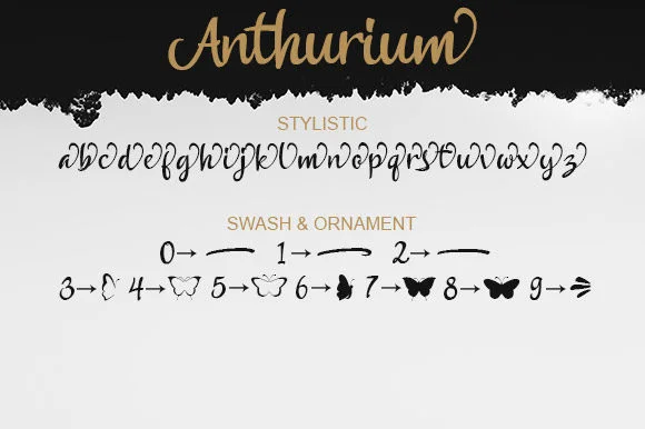 Anthurium Font by lemonthe — Script Handwritten Font — thumbnail 5