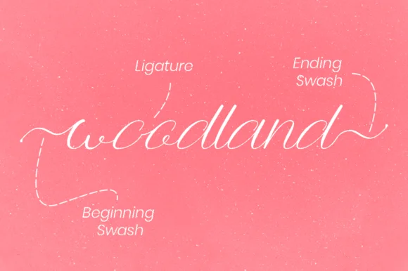 Anttalla Font by attypestudio — Script Handwritten Font — thumbnail 7