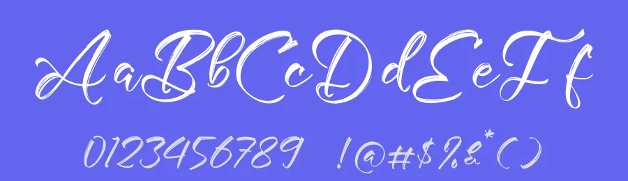 Arettolesa by Letterena Studios — Script Handwritten Font — thumbnail 3