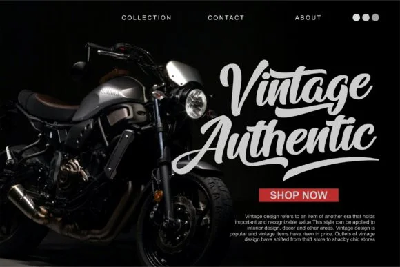 Arfelick Feather Font by ergibi studio — Script Handwritten Font — thumbnail 5