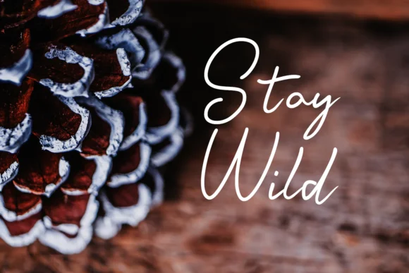 Argento Font by Design Garden — Script Handwritten Font — thumbnail 2