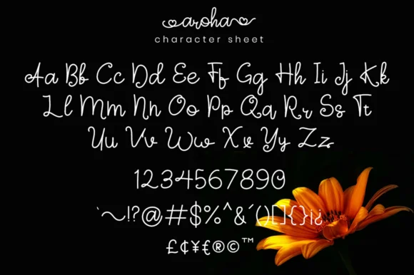 Aroha Script Font by attypestudio — Script Handwritten Font — thumbnail 5