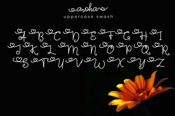 Aroha Script Font by attypestudio — Script Handwritten Font — thumbnail 6