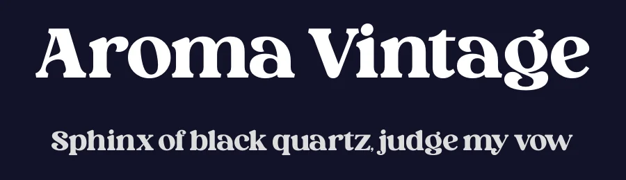 Aroma Vintage by Timelesstype Studio — Decorative Font — thumbnail 2